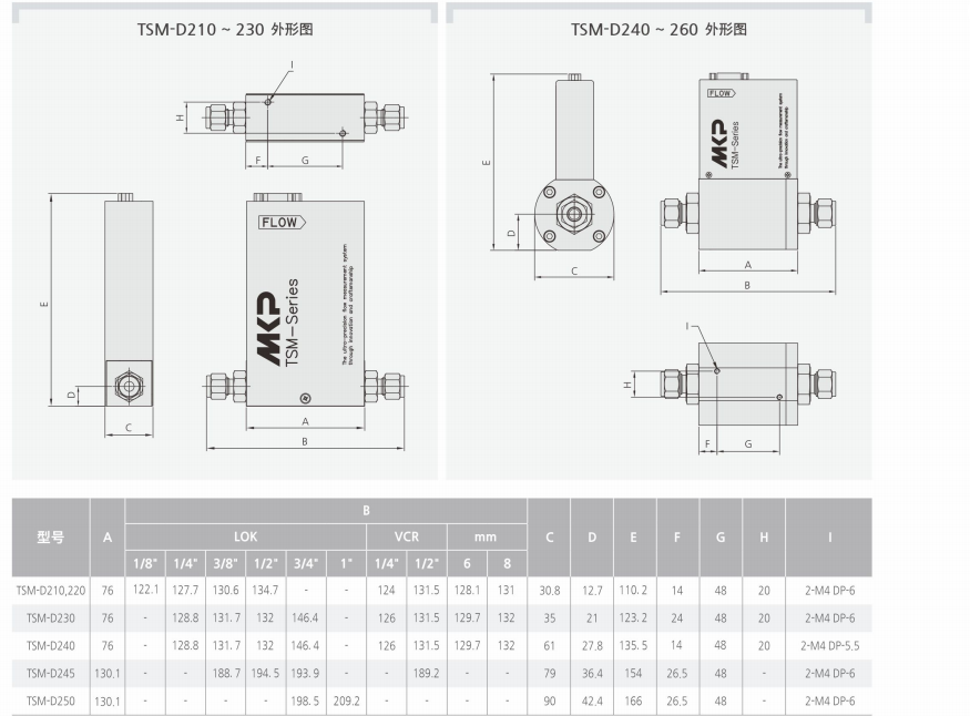 TSM-D250質(zhì)量流量計產(chǎn)品外形圖和參數(shù).png